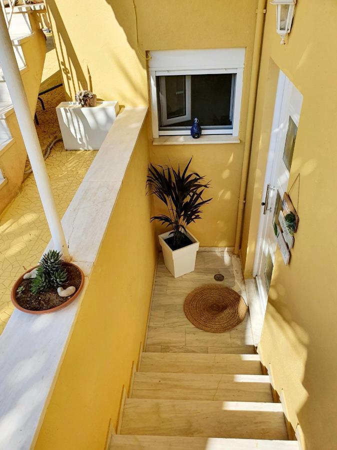 Pine Trees Apartment 普雷韦扎 外观 照片